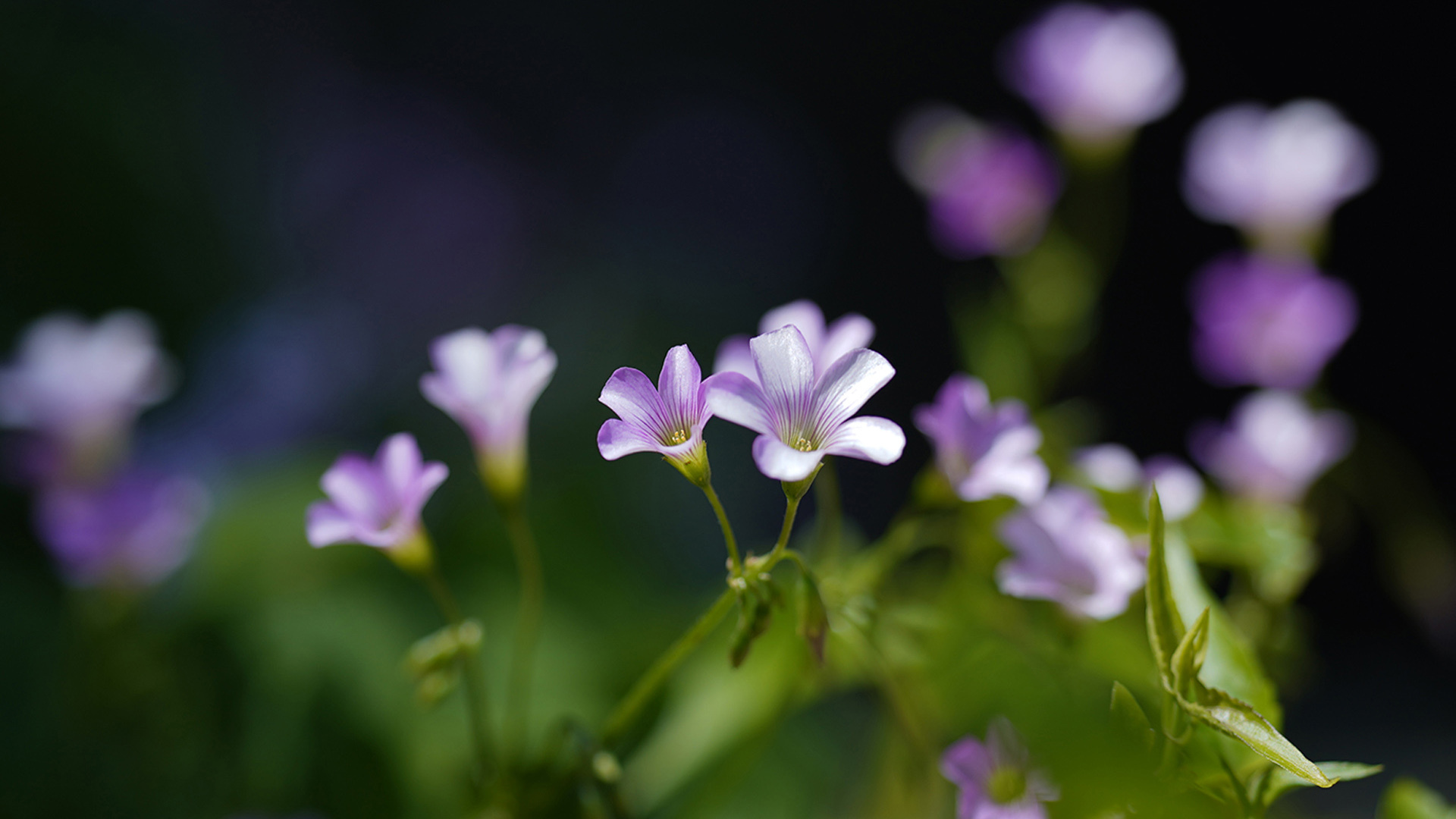 about us landscape photo